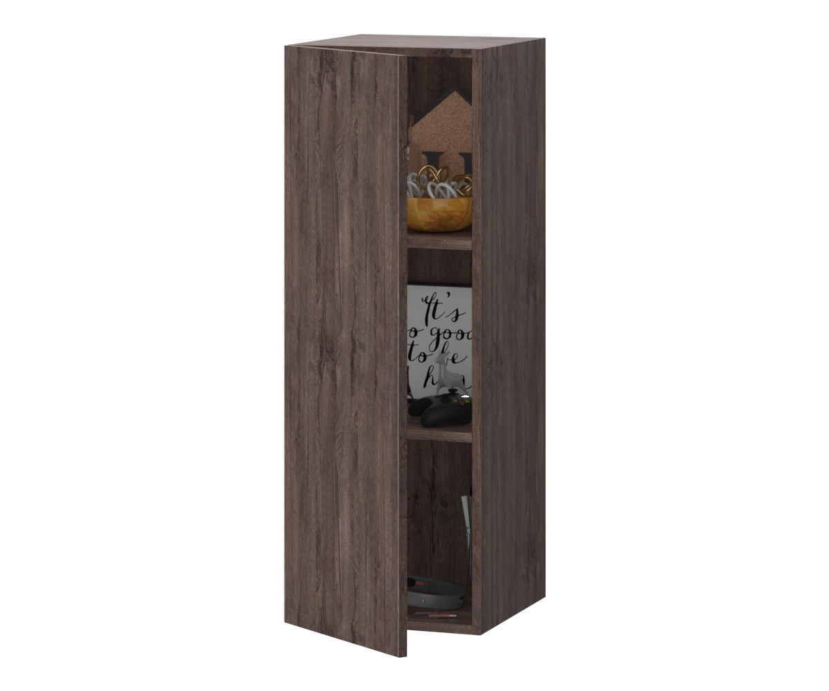 013478_dub_shokoladnyy_priotkryto