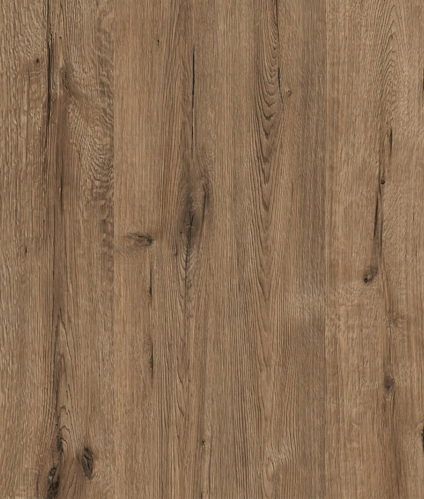 Дуб велингтон