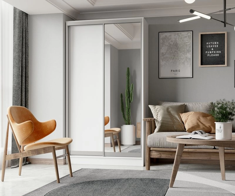 Ekonom-3_1-zerkalo_095014_belyy_gladkiy_interior