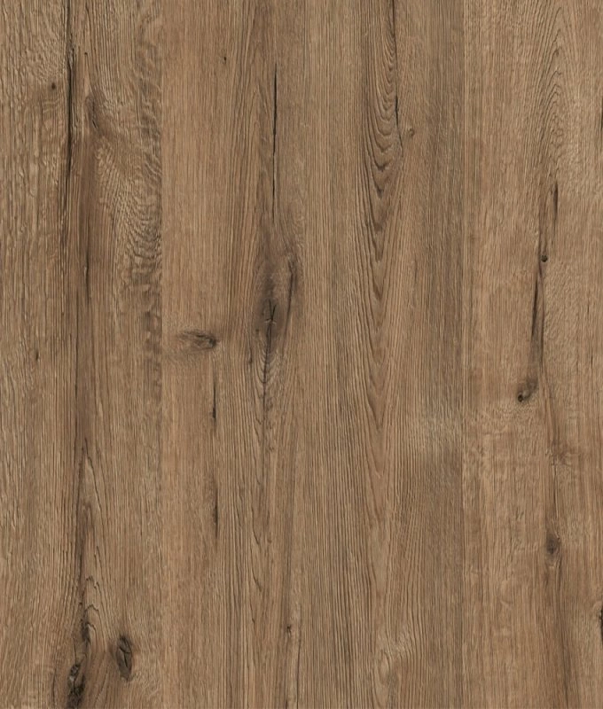 Дуб велингтон